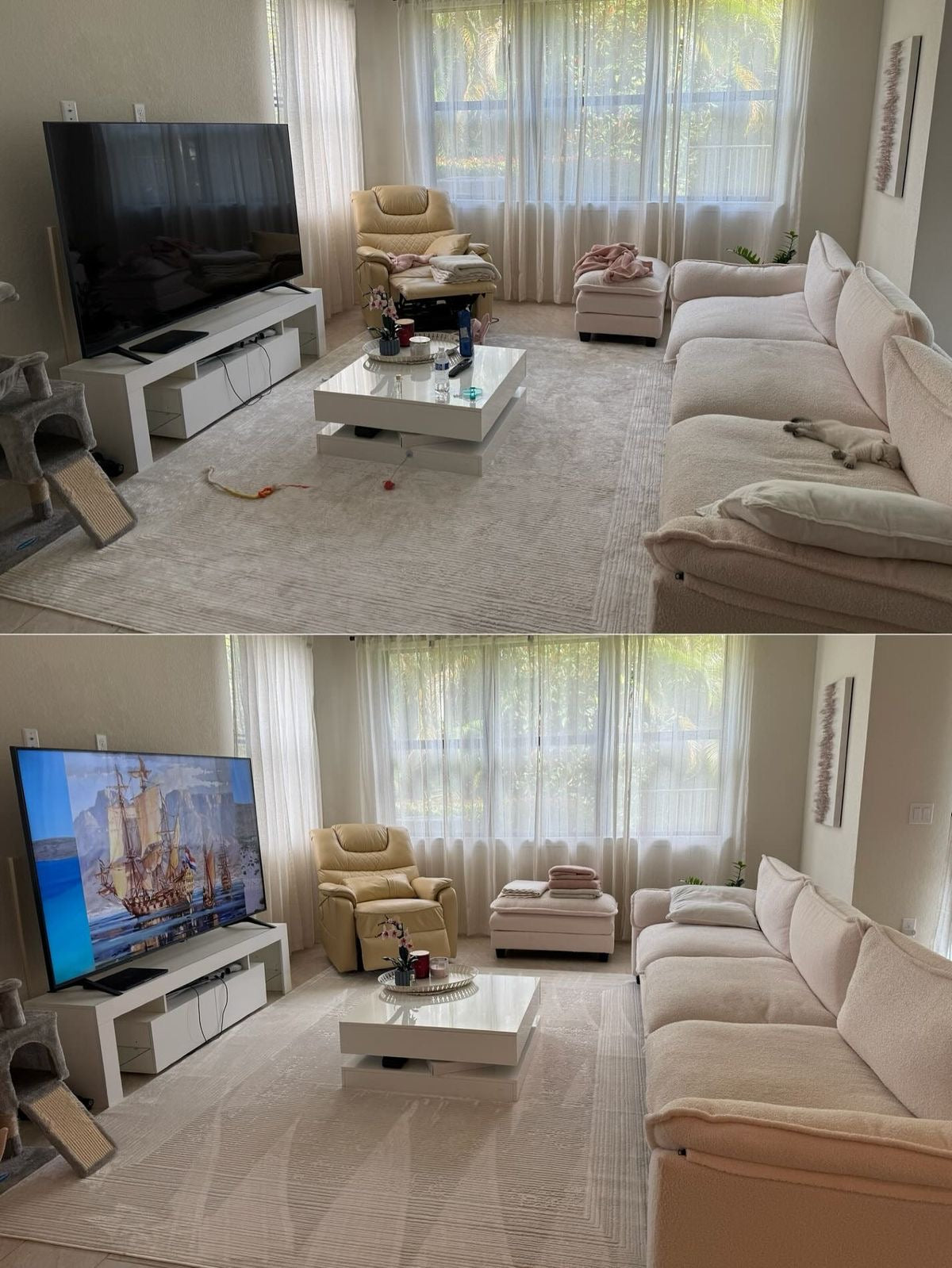 Living room cleaning ￼